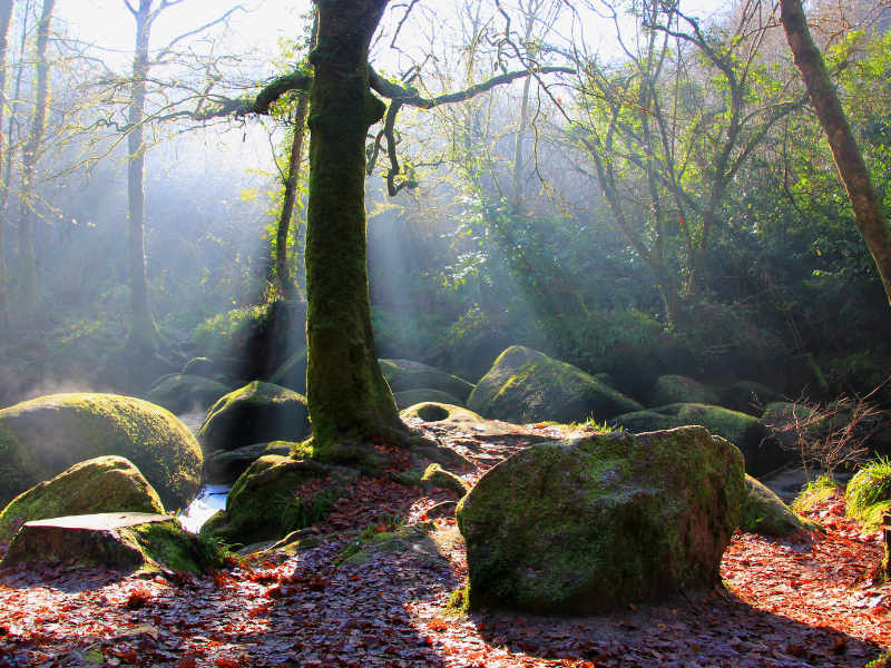 Découvrir les légendes arthuriennes à Huelgoat. Lieux magiques dans le Finistère